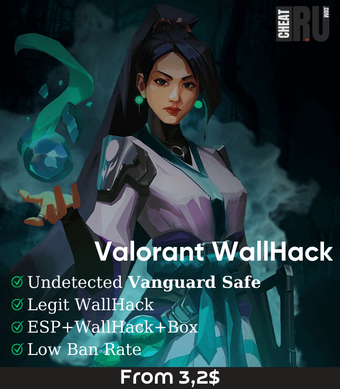 valorant hack